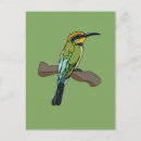 Search for eater postcards Bird