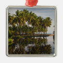 Search for dominican republic christmas tree decorations Travel