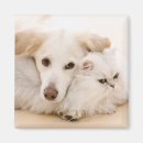Search for studio shot magnets Animal