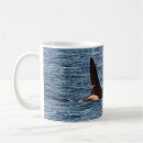 Search for killer whales mugs Orca