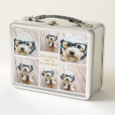 Search for photo lunch boxes Modern