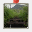 Search for hiker christmas tree decorations Climbing