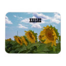 Search for closeup magnets Kansas