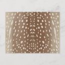 Search for fawn postcards Forest