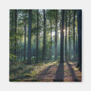 Search for beeches magnets Woodland
