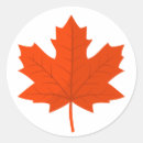 Search for maple trees stickers Forest