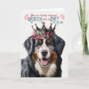Search for bernese mountain dog birthday cards Dogs