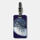 Search for shells luggage tags Indigo
