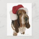 Search for basset hound christmas cards Canine