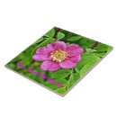 Search for wild rose tiles Pink