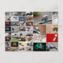 Search for riding bikes postcards Bicycles
