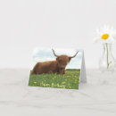 Search for highland cow birthday cards Horns