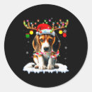 Search for beagle stickers Dog