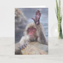 Search for animal faces cards Monkey