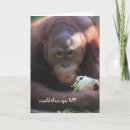 Search for orangutan birthday cards Primate