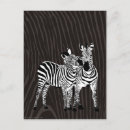 Search for black and white zebra postcards Mammal