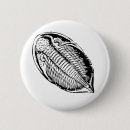 Search for fossilized bones badges Skeleton