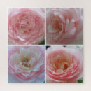 Search for rose puzzles Beautiful flowers