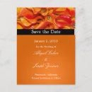 Search for lilly vertical postcards Orange
