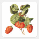 Search for vintage strawberry stickers Red
