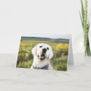 Search for make me smile cards Dog