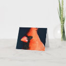 Search for cardinal note cards Animal