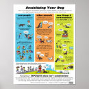 Search for dog training posters Puppies