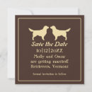 Search for pet square invitations Cute