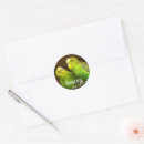 Search for australian bird stickers Budgie