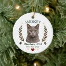 Search for russian blue cat christmas tree decorations Cute