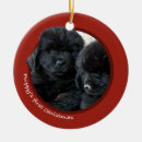 Search for newfie christmas tree decorations Puppy