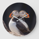 Search for colonial clocks Colony