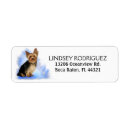 Search for yorkie return address labels Dog