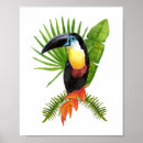Search for toucan birds posters Tropical bird