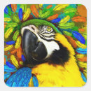 Search for blue and gold macaw stickers Animal