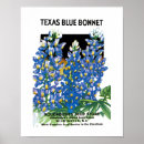 Search for bonnet posters Garden
