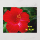 Search for brilliant postcards Red