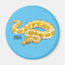 Search for burmese magnets Python
