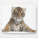 Search for sumatran mouse mats Tiger