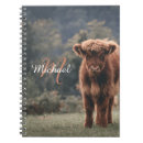 Search for cow notebooks Highland cattle
