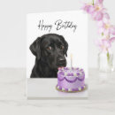 Search for black lab birthday cards Black labrador retriever