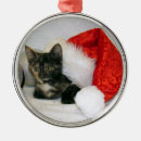 Search for tortie cat christmas tree decorations Kitten