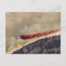 Search for flagstaff postcards Forest