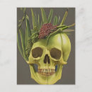 Search for alo postcards Plants