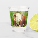 Search for cow shot glasses Cute