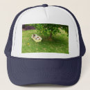 Search for blue terrier accessories Pet