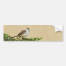 Search for wild birds bumper stickers Animal