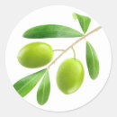 Search for olive branch stickers leaf