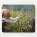 Search for edited mouse mats Nature