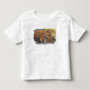 Search for 1888 tshirts Sun